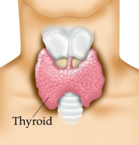 Thyroid Natalie Jill Fit