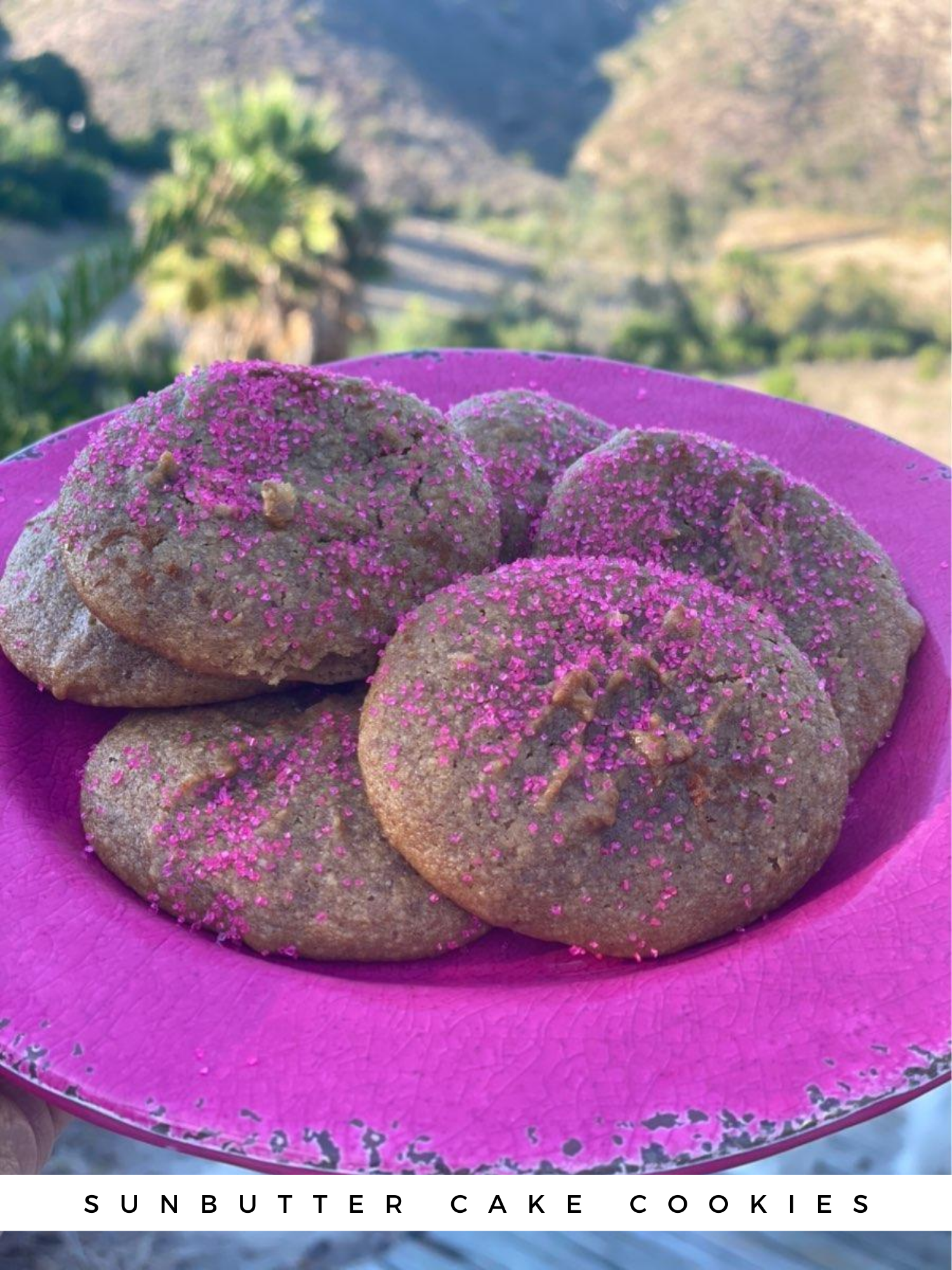 Sunbutter Cake Cookies pinterest thumbnail 