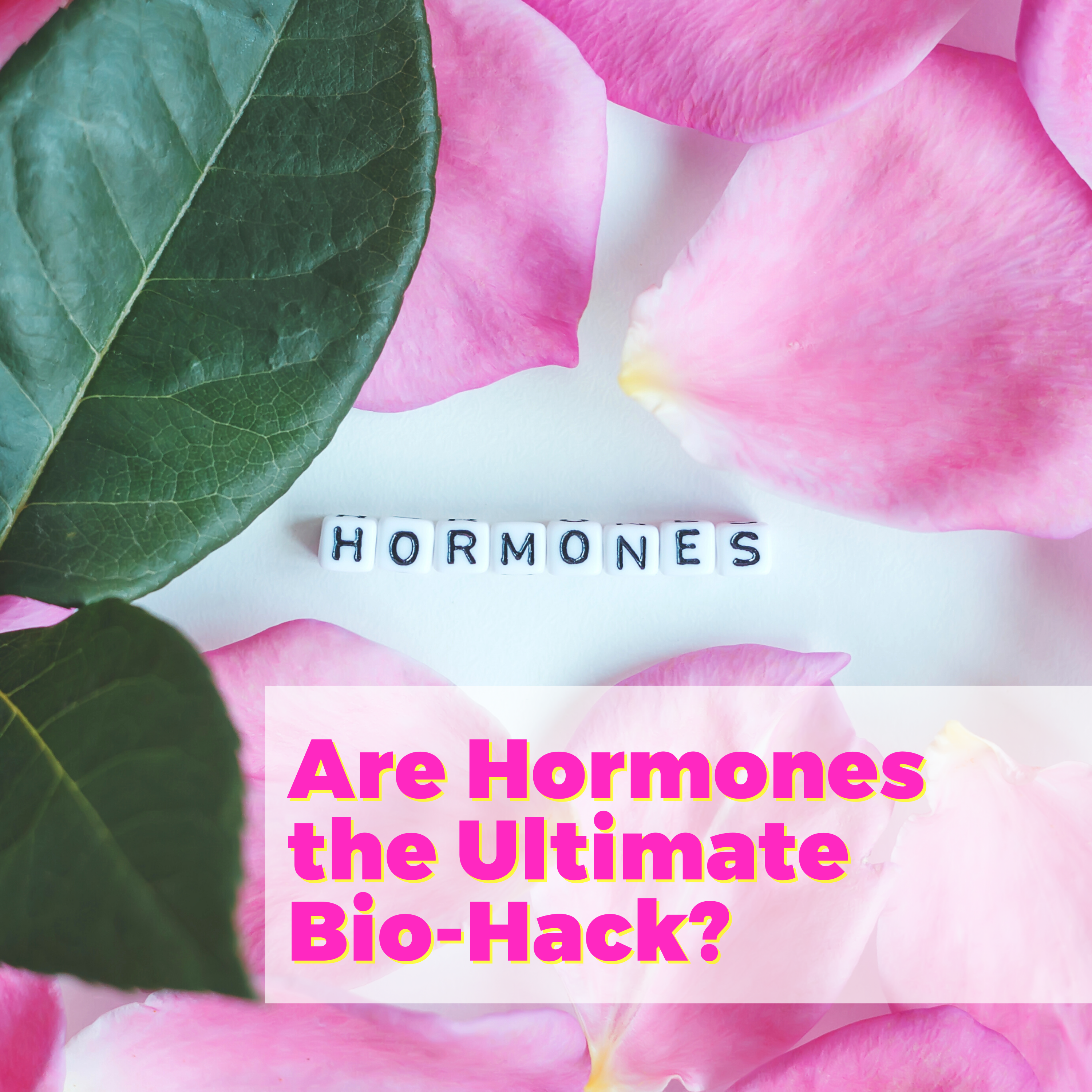 Are Hormones the Ultimate Bio-Hack? with Wise and Well Maria Claps & Kristin Johnson Midlife Conversations with Natalie Jill