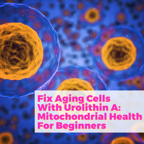 Fix Aging Cells With Urolithin A: Mitochondrial Health For Beginners with Jennifer Scheinman