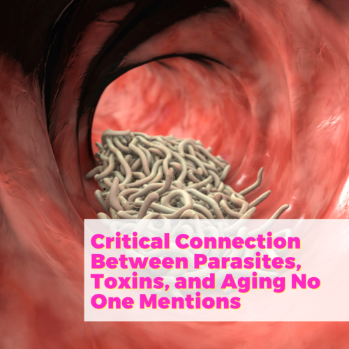 Critical Connection Between Parasites, Toxins, and Aging No One Mentions with Laura Frontiero