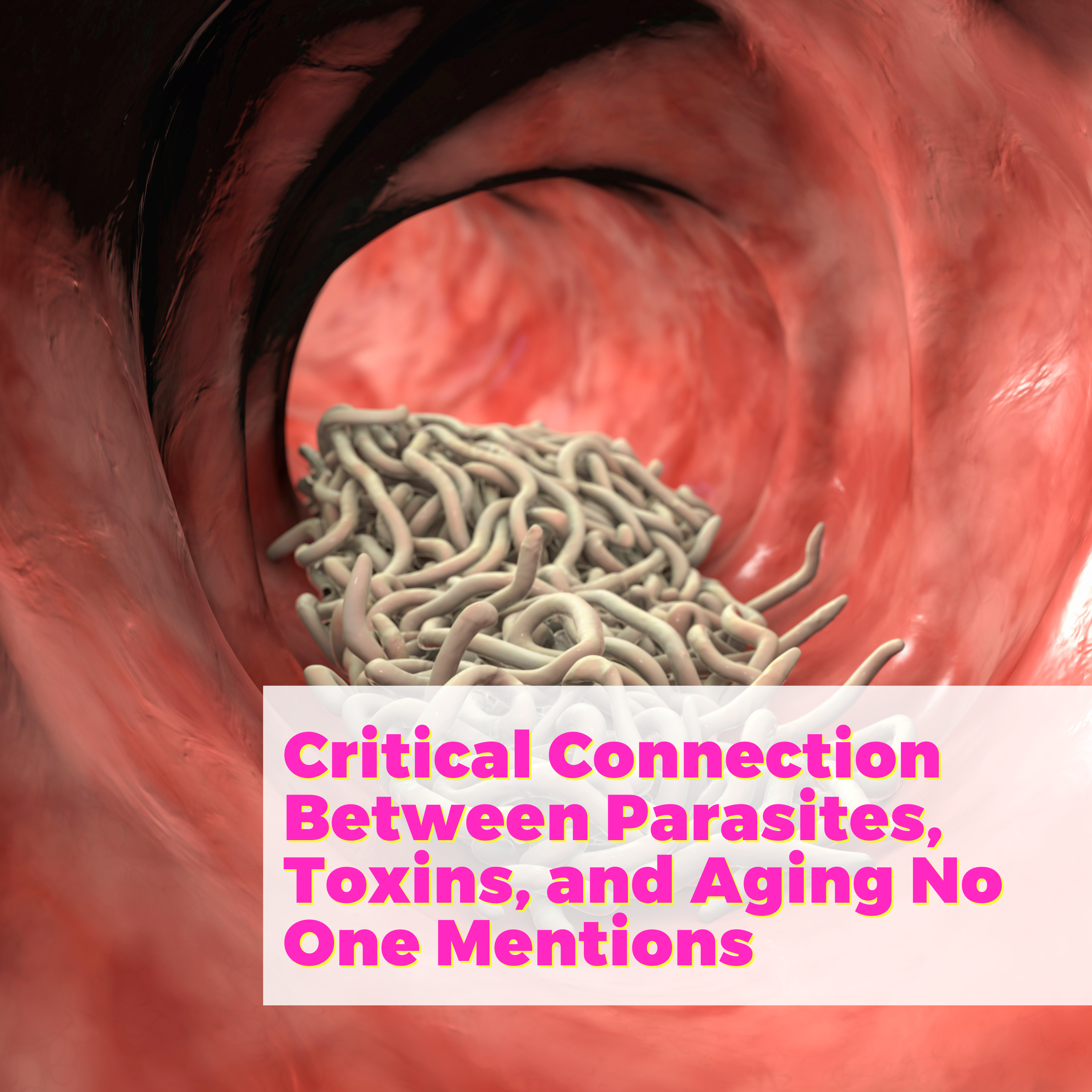 Critical Connection Between Parasites, Toxins, and Aging No One Mentions with Laura Frontiero