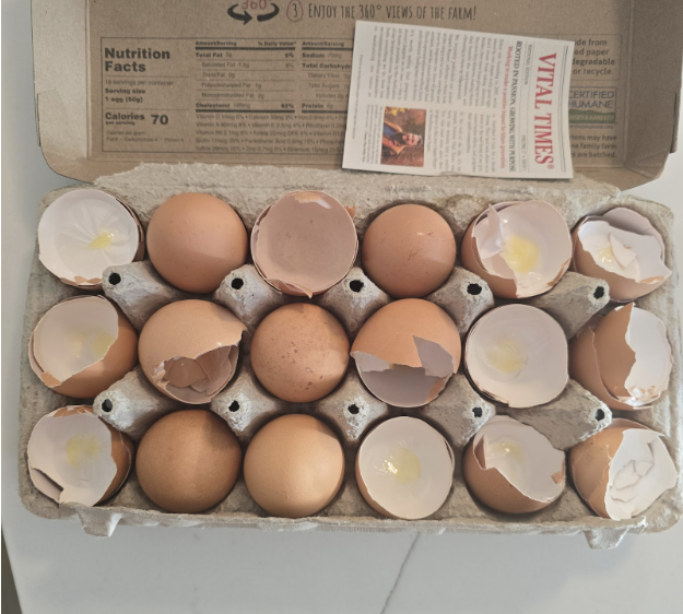 natalie jill egg debate