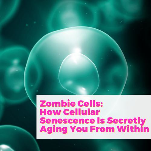 Zombie Cells: How Cellular Senescence Is Secretly Aging You From Within with Dan Pardi