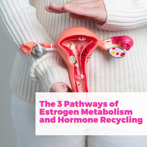 The 3 Pathways of Estrogen Metabolism and Hormone Recycling with Dr. Betty Murray