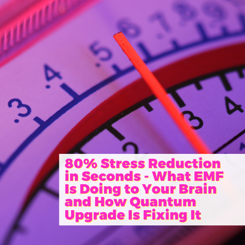 80% Stress Reduction in Seconds - What EMF Is Doing to Your Brain and How Quantum Upgrade Is Fixing It with Philipp von Holtzendorff-Fehling