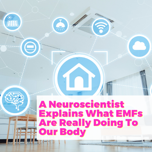 A Neuroscientist Explains What EMFs Are Really Doing To Our Body with Dr. Henz and Philipp von Holtzendorff-Fehling