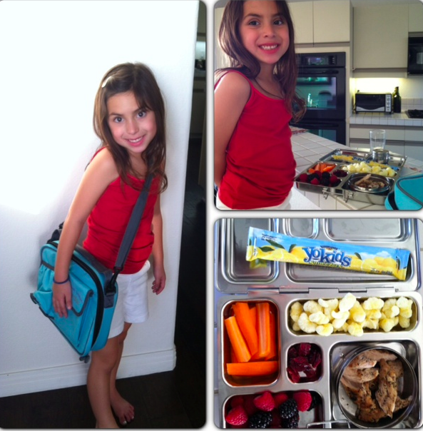 planet box lunch bag